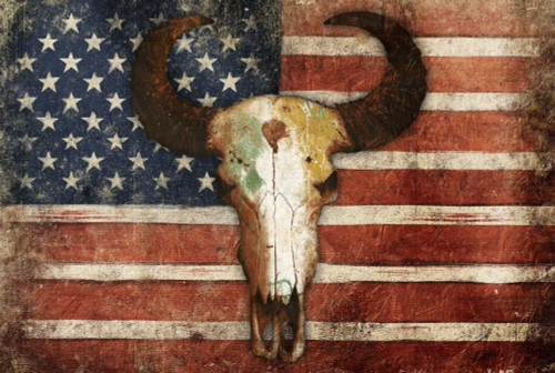 US Skull Flag Poster Print by Jace Grey - Item # VARPDXJGRC447A