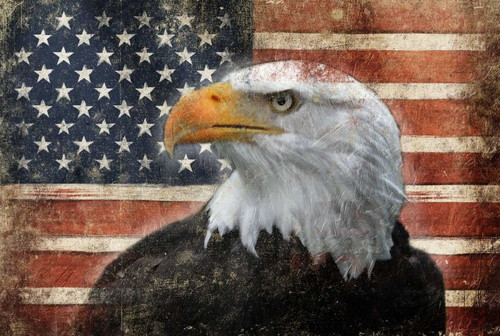 Eagle and Flag Poster Print by Jace Grey - Item # VARPDXJGRC461A