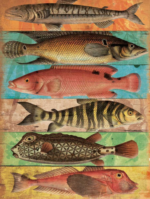 Fish Wall Mate Poster Print by Jace Grey - Item # VARPDXJGRC472B