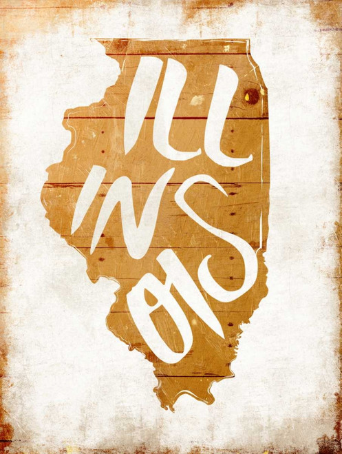 Wood Illinois Poster Print by Jace Grey - Item # VARPDXJGRC550A