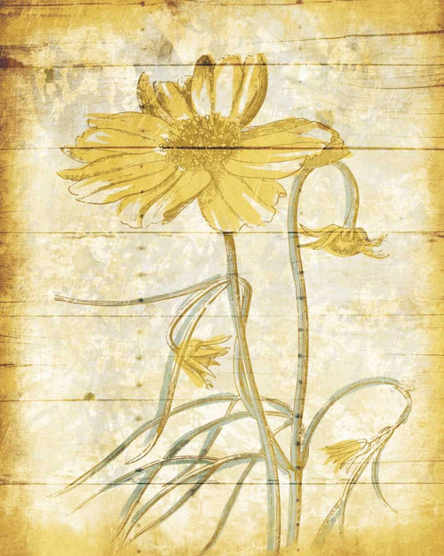 Calm Day Breeze Poster Print by Jace Grey - Item # VARPDXJGRC552A