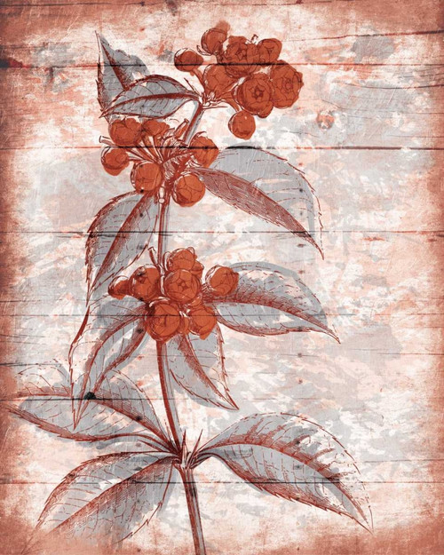 Calm Day Heat Poster Print by Jace Grey - Item # VARPDXJGRC553A