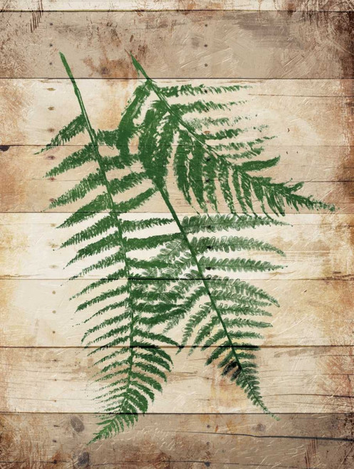 Ferns On Wood Mate Poster Print by Jace Grey - Item # VARPDXJGRC563B
