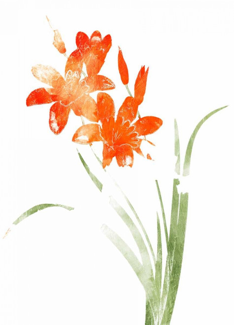 Watered Down Bright Orange Poster Print by Jace Grey - Item # VARPDXJGRC610A