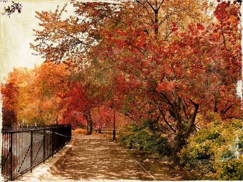 NY Fall Poster Print by Jace Grey - Item # VARPDXJGRC641A