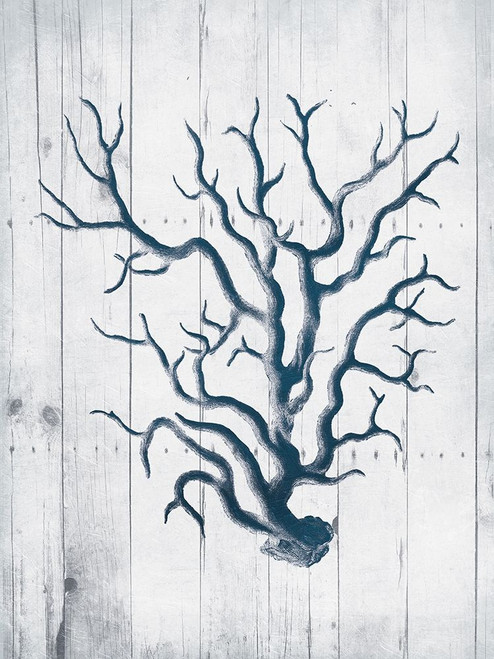 Coral White Wood Poster Print by Jace Grey - Item # VARPDXJGRC732A