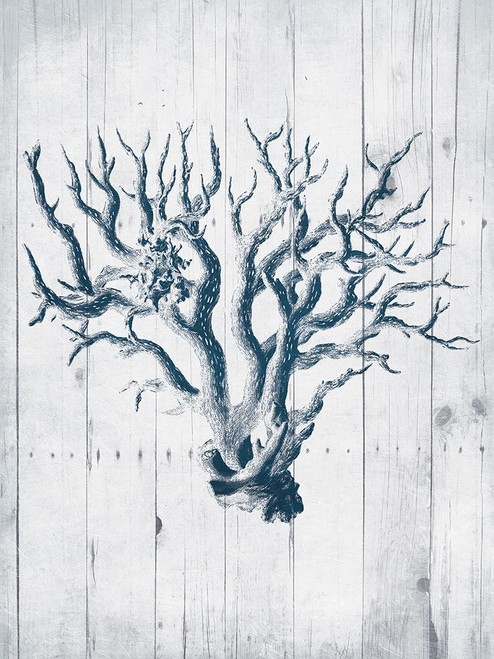 Coral White Wood Mate Poster Print by Jace Grey - Item # VARPDXJGRC732B