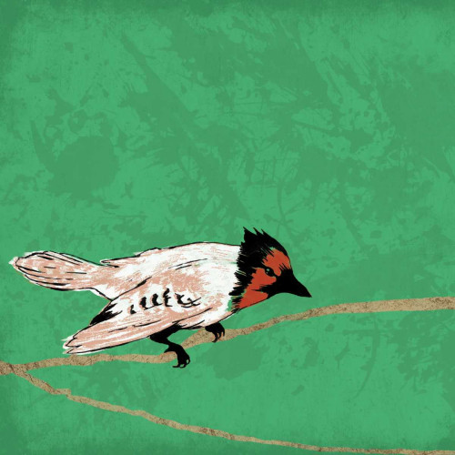Birds on branch Poster Print by Jace Grey