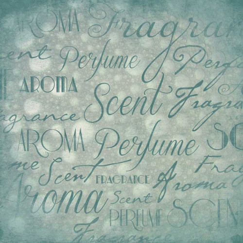Typography  bubbles Poster Print by Jace Grey
