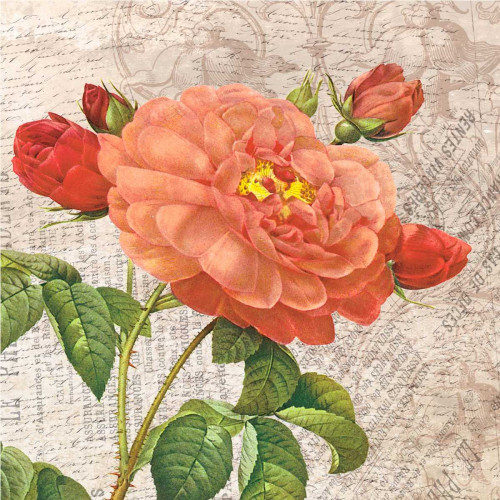 flowers Poster Print by Jace Grey