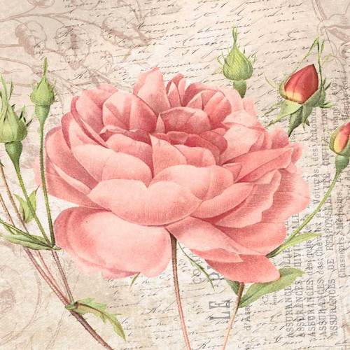 flowers Poster Print by Jace Grey