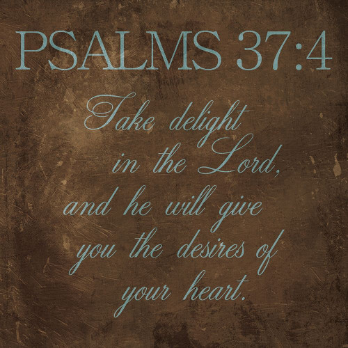 Take Delight Brown Poster Print by Jace Grey - Item # VARPDXJGSQ1032C