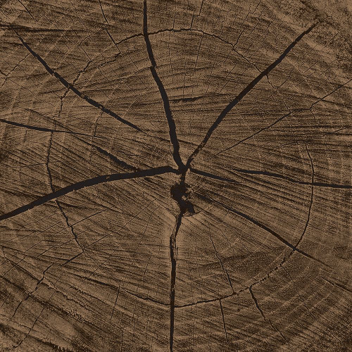 Dark Rings Poster Print by Jace Grey - Item # VARPDXJGSQ1050A