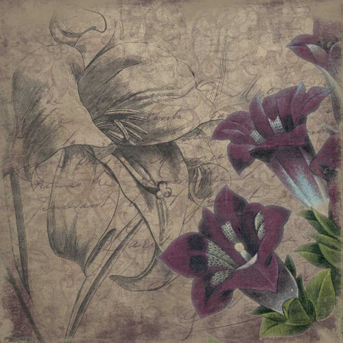 Floral outline 2 Poster Print by Jace Grey - Item # VARPDXJGSQ116B