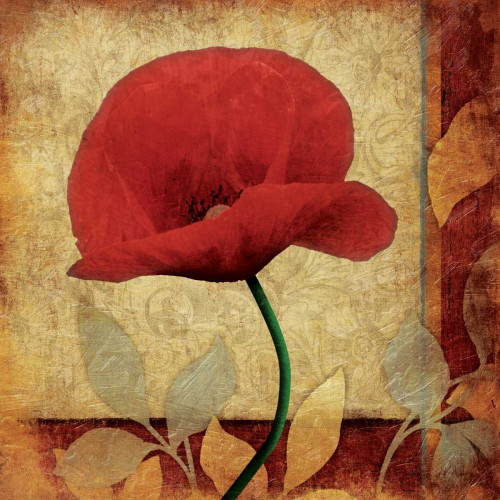 Poppies Patch Bright Poster Print by Jace Grey - Item # VARPDXJGSQ210A2