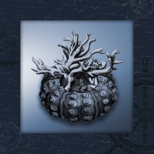 Nautical blue bordered Poster Print by Jace Grey - Item # VARPDXJGSQ296A3