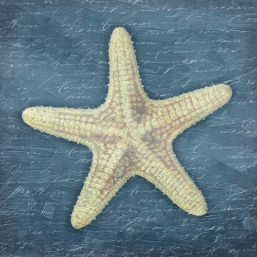 Star Fish Light Blue Poster Print by Jace Grey - Item # VARPDXJGSQ327A2