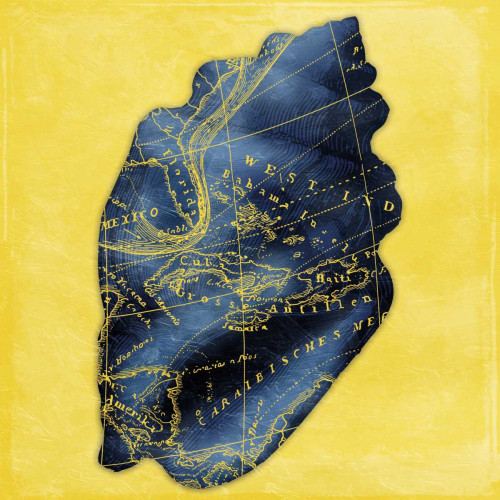 Map Shell Y Indigo Poster Print by Jace Grey