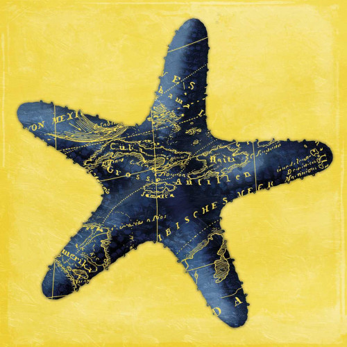 Map Starfish Y Indigo Poster Print by Jace Grey - Item # VARPDXJGSQ368C4
