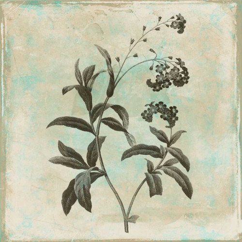 Earthy floral 2 Poster Print by Jace Grey - Item # VARPDXJGSQ383B
