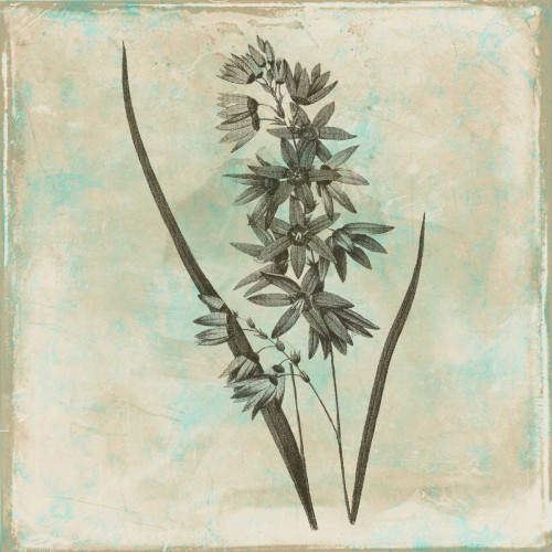 Earthy floral 3 Poster Print by Jace Grey - Item # VARPDXJGSQ383C