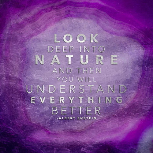 Look Deep Into Nature Poster Print by Jace Grey - Item # VARPDXJGSQ582C