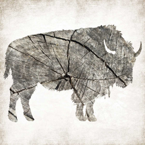 Buffalo Rings Mineral Poster Print by Jace Grey - Item # VARPDXJGSQ639B2