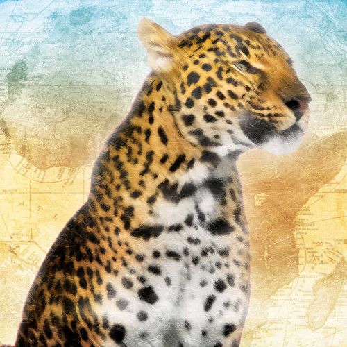 Africa Sunrise One Poster Print by Jace Grey - Item # VARPDXJGSQ734A