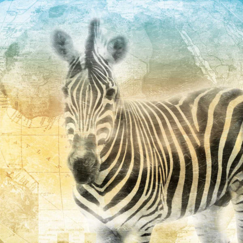 Africa Sunrise Three Poster Print by Jace Grey - Item # VARPDXJGSQ734C