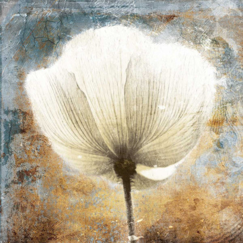 Golden White Blues Poster Print by Jace Grey - Item # VARPDXJGSQ836A