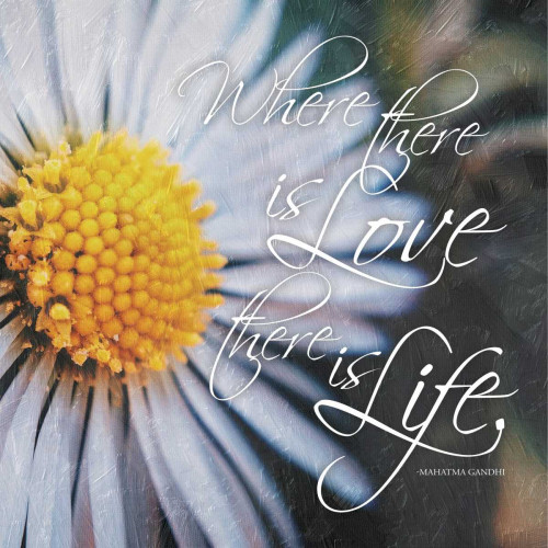 Love Life Poster Print by Jace Grey - Item # VARPDXJGSQ842A