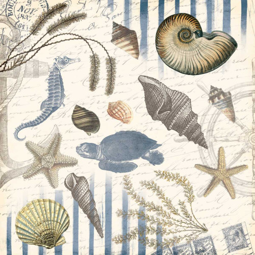 Coastal Mix Poster Print by Jace Grey - Item # VARPDXJGSQ878A