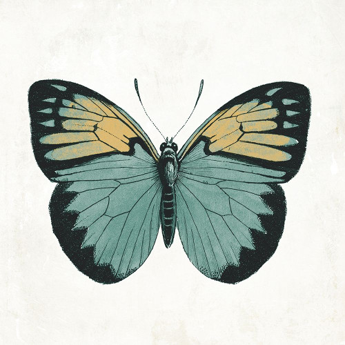 Neutral Butterfly 3 Poster Print by Jace Grey - Item # VARPDXJGSQ995C