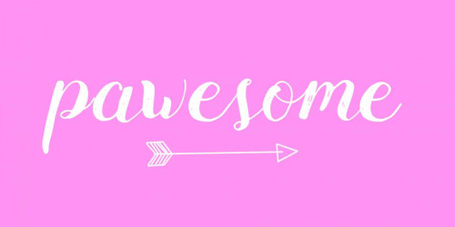 Pawesome Pink Poster Print by Matic,Jelena Matic - Item # VARPDXJMRN003B