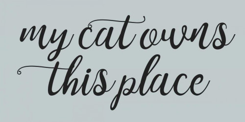 Cat Owns Poster Print by Matic,Jelena Matic - Item # VARPDXJMRN005A