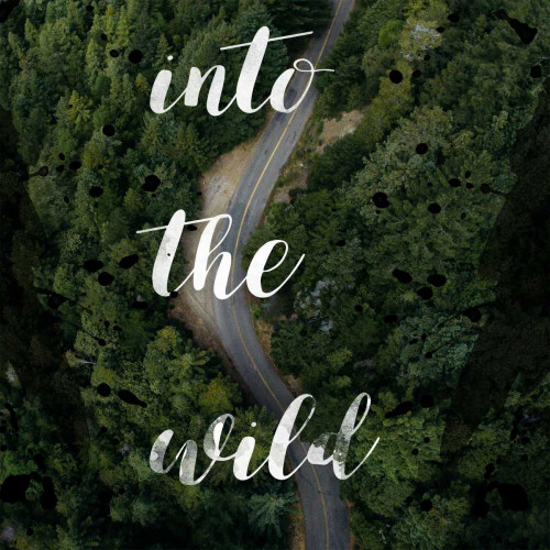 Into The Wild Poster Print by Matic,Jelena Matic - Item # VARPDXJMSQ063A