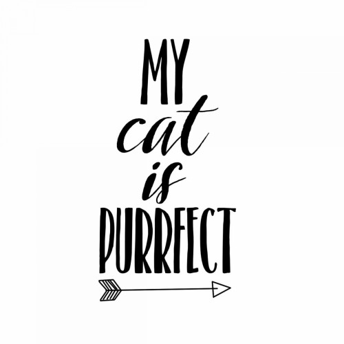 My Cat Poster Print by Matic,Jelena Matic - Item # VARPDXJMSQ104A