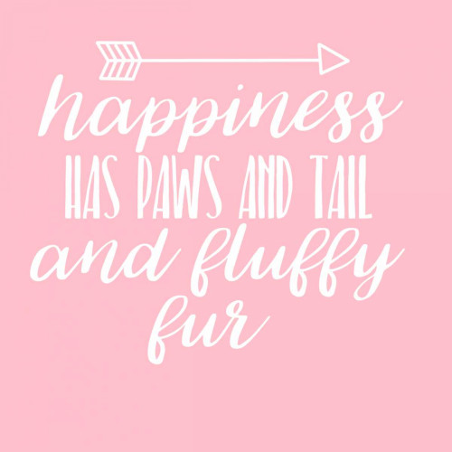 Happiness Paws Pink Poster Print by Matic,Jelena Matic - Item # VARPDXJMSQ114A