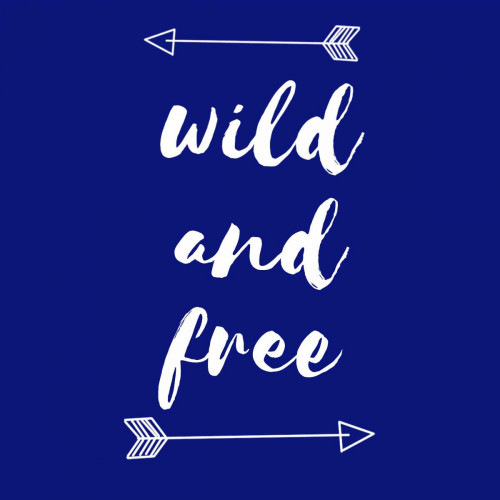 Wild and Free Poster Print by Matic,Jelena Matic - Item # VARPDXJMSQ117A