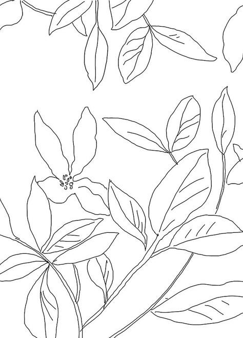 Delicate Movement II Poster Print by Asia Jensen