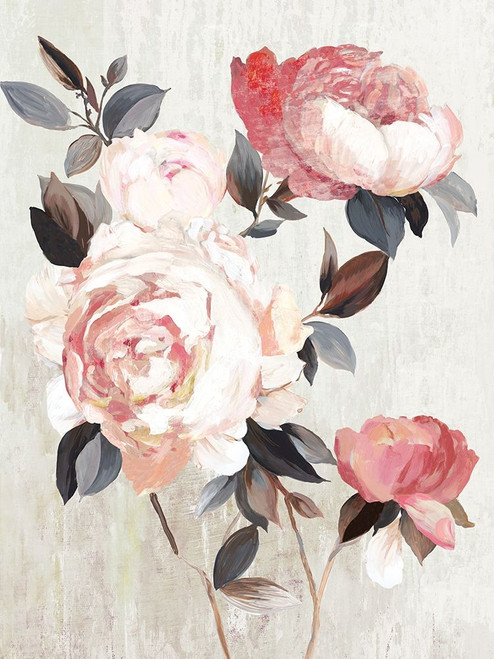 Bloom of Blush  Poster Print by Asia Jensen