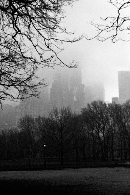 Central Park A Poster Print by Jace Grey - Item # VARPDXJPIRC018A