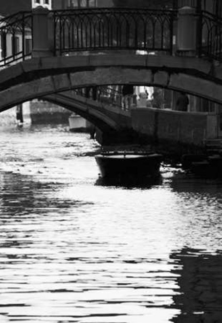 Venice 62 Poster Print by Jace Grey - Item # VARPDXJPIRC020D