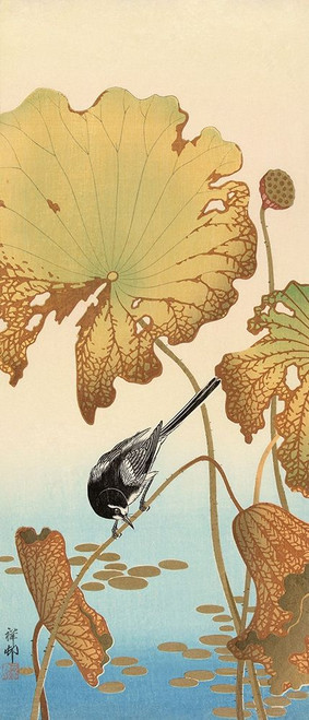 Japanese Wagtail on Lotus Plant, 1925-1936 Poster Print by Ohara Koson - Item # VARPDXK2722D
