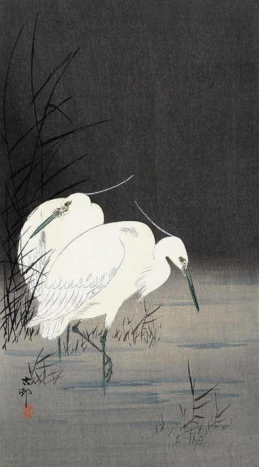 Two Egrets in the Reeds, 1900-1930 Poster Print by Ohara Koson - Item # VARPDXK2724D