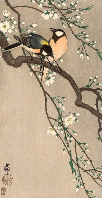 Songbirds on Cherry Branch, 1900-1910 Poster Print by Ohara Koson - Item # VARPDXK2725D
