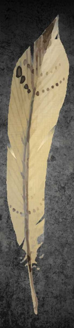 Feather on Black 2 Poster Print by Kimberly Allen - Item # VARPDXKAPL137B