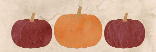 Pumpkins in a Row Poster Print by Allen Kimberly - Item # VARPDXKAPL250A