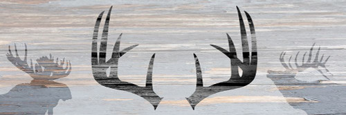 Wildlife Silhouette Poster Print by Allen Kimberly - Item # VARPDXKAPL262A