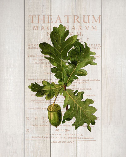 Fall Botanical 1 Poster Print by Allen Kimberly - Item # VARPDXKARC1005A